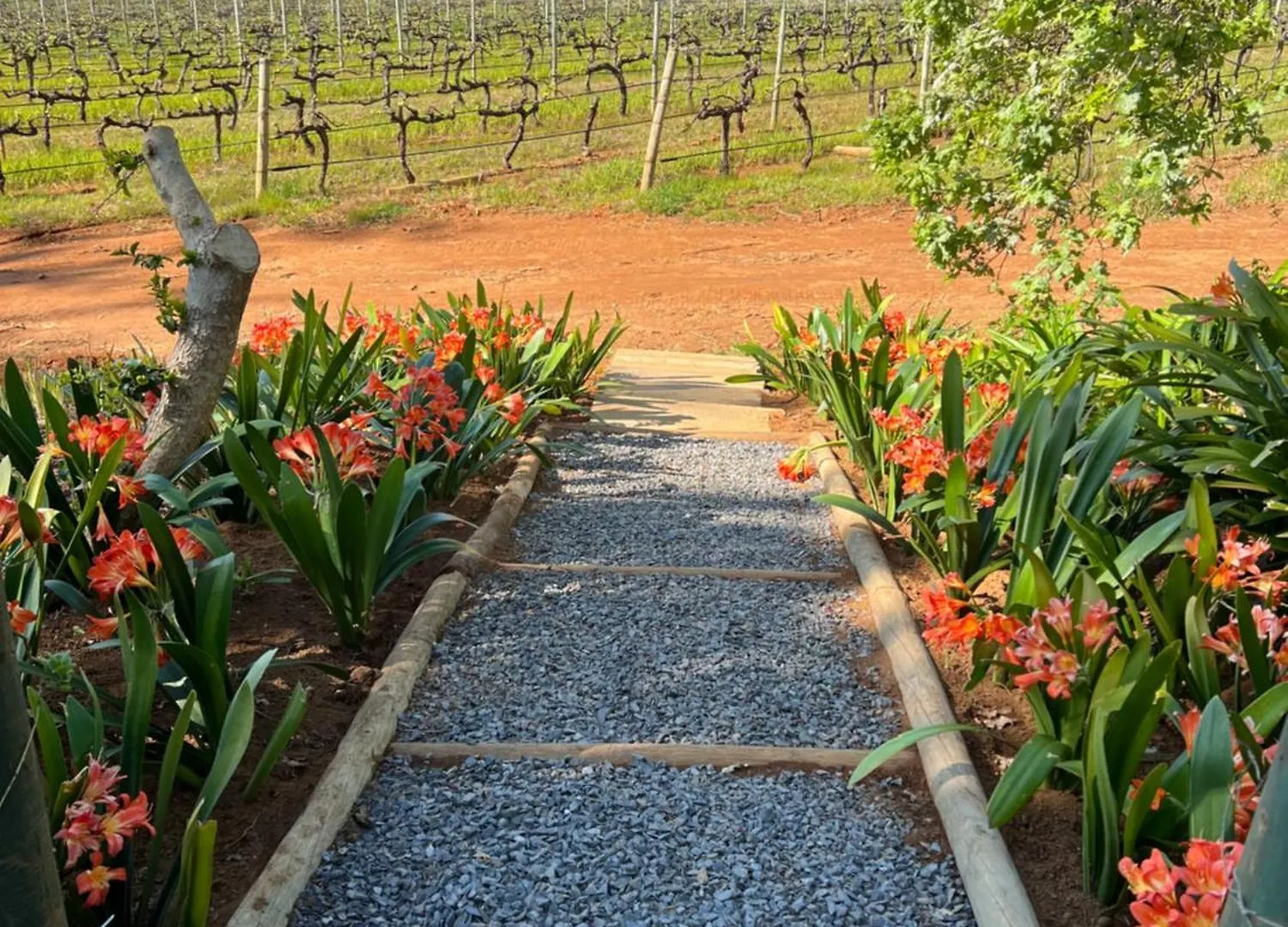Holiday home Charming One Bed With Vineyard & Mountain Views Villa Cape Town South Africa