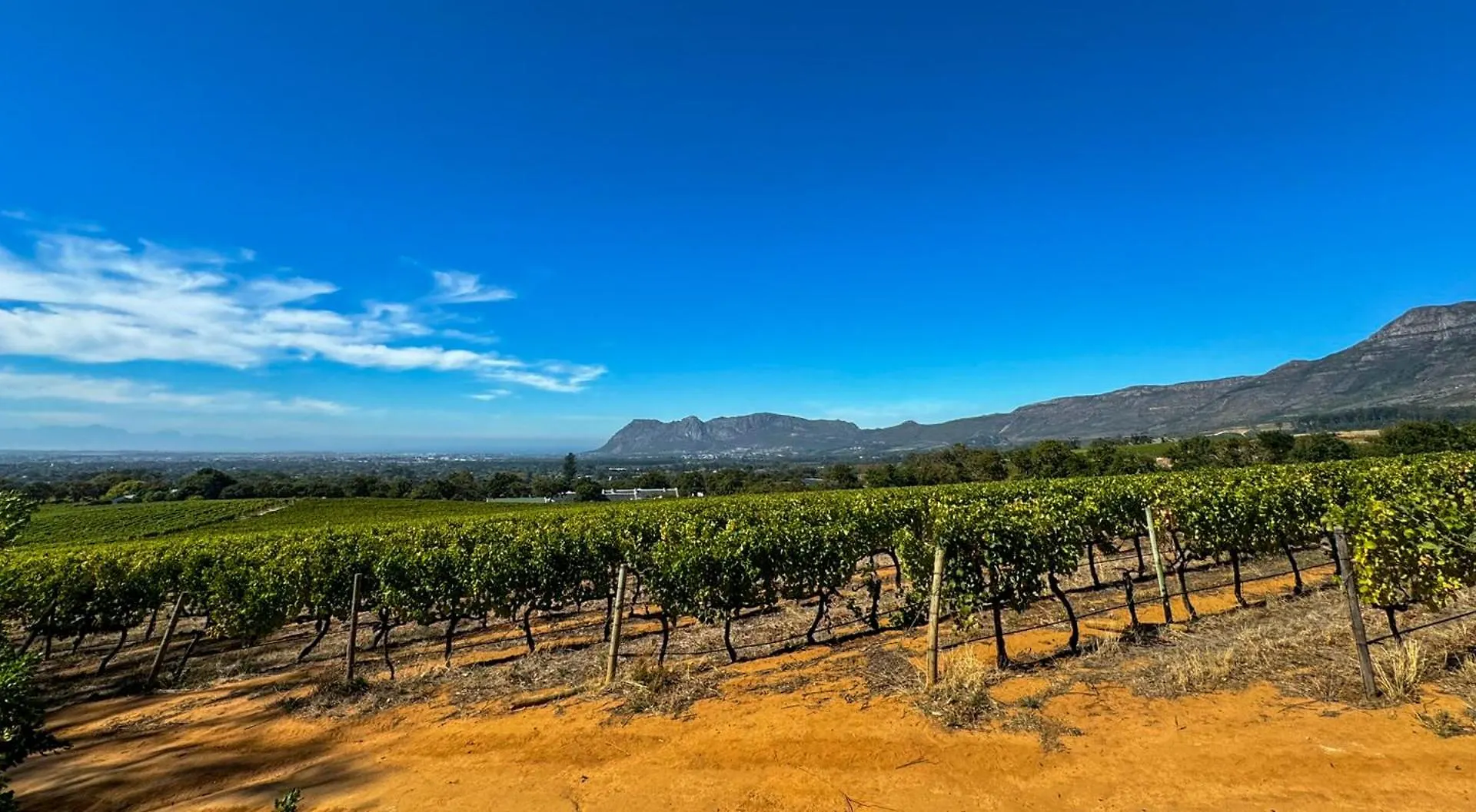 Charming One Bed With Vineyard & Mountain Views Villa Cape Town South Africa